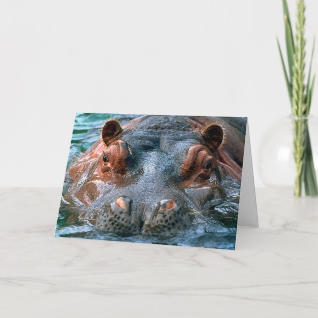 Cartão Hippopotamus #1 (Frente)