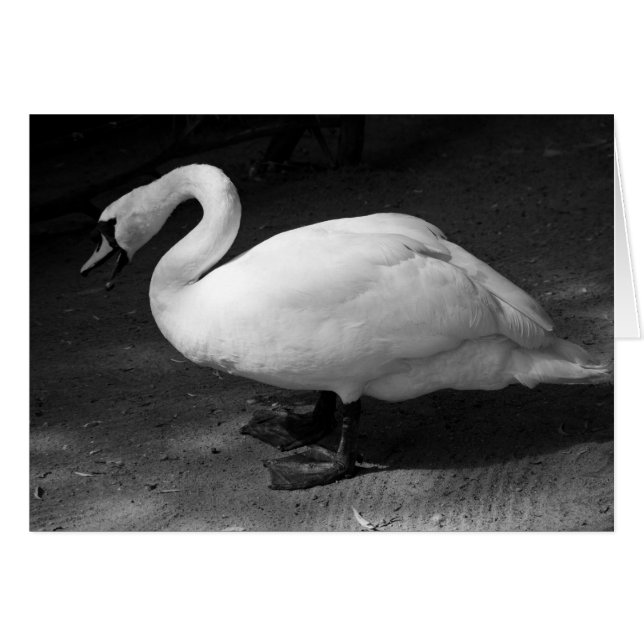 Cartão HiSS (Frente horizontal)