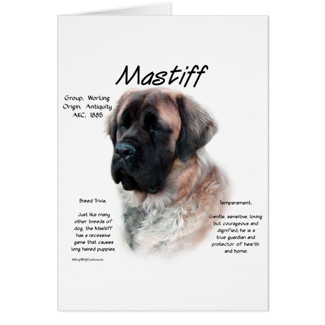 Cartão Histórico de Mastiff Fluffy do Apricot (Frente)