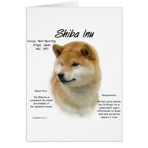 Cartão Histórico de Shiba Inu