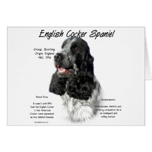 Cartão Histórico de Spaniel de Cocker em Partiinglês