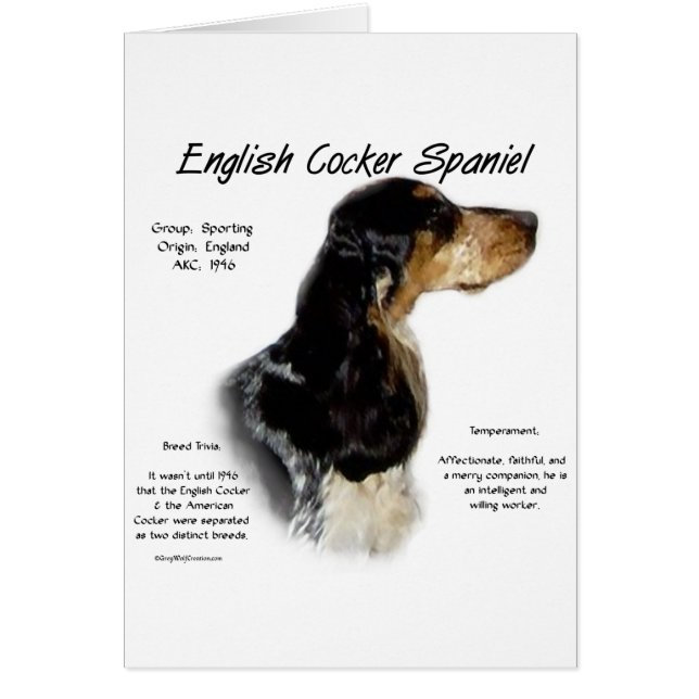 Cartão Histórico de Spaniel de Cocker Inglês Partio (Frente)