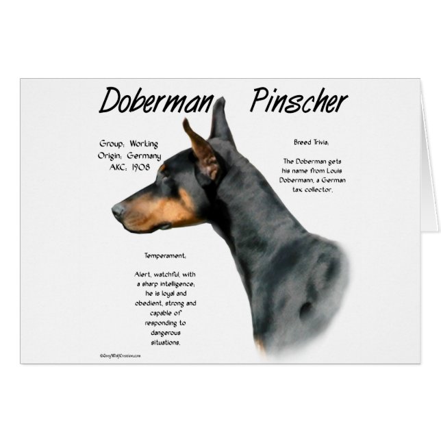 Cartão Histórico do Doberman Pinscher Negro (Frente Horizontal)