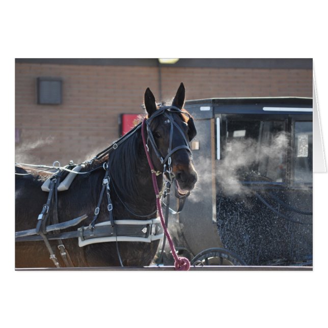 Cartão Hitch do Cavalo de inverno (Frente Horizontal)