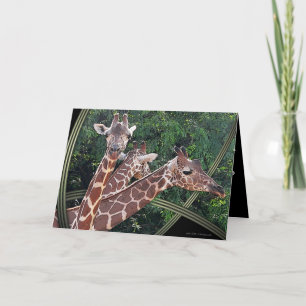 Cartão Hoffmans Hawaii