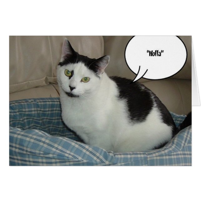 Cartão Holla (Frente Horizontal)