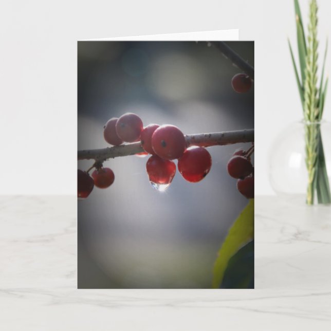 Cartão Holly in Water Droplets Greeting Card (Frente)