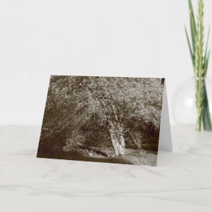 Cartão Holly Tree - Sépia