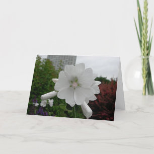 Cartão Hollyhock greeting card