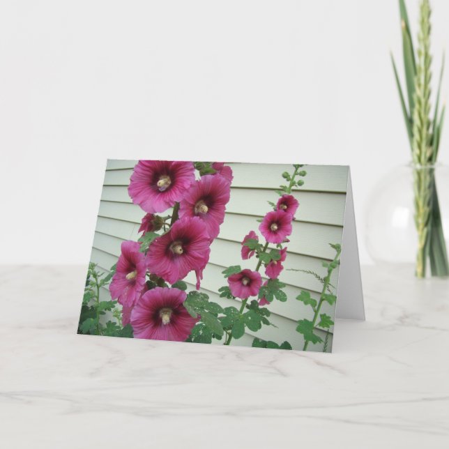 Cartão Hollyhocks gloriosos (Frente)