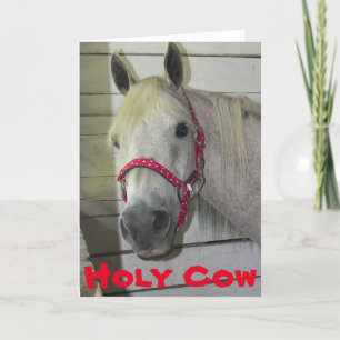 Cartão HOLY COW YOUNG FILLY **60th BIRTHDAY**