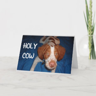 CARTÃO HOLY VACA DIZ PUP "VOCÊ ESTÁ FAZENDO 70"