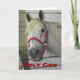 CARTÃO HOLY VACA JOVEM CHEIRA FELIZ ANIVERSÁRIO-ADULTO