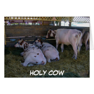 CARTÃO HOLY VACA VOCÊ ACABOU DE FAZER 50