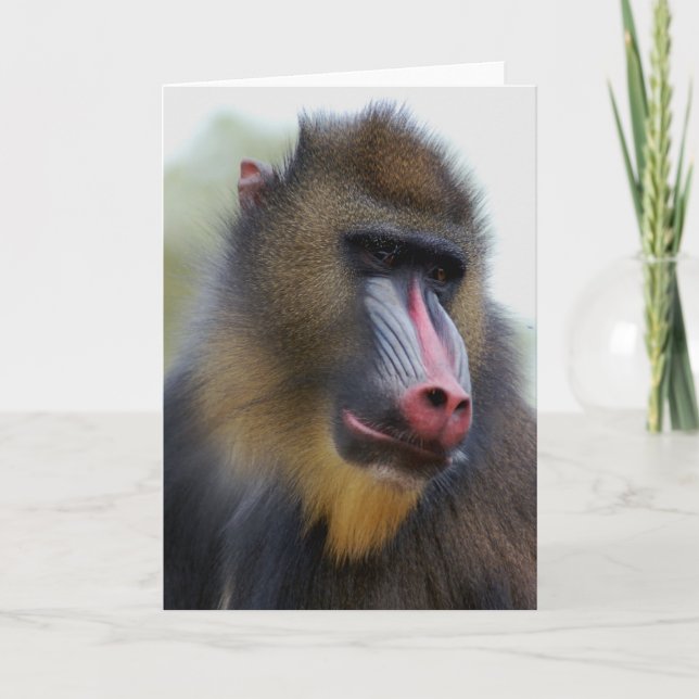 Cartão Homem apenas (Frente)