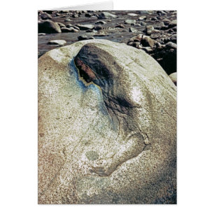 Cartão Homenagem às mulheres andinas/cartão de dobramento