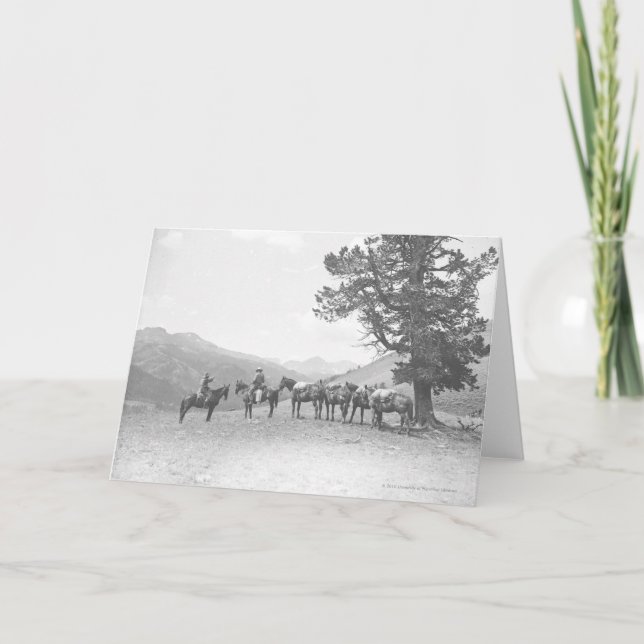 Cartão Homens com os packhorses que olham sobre um monte (Frente)