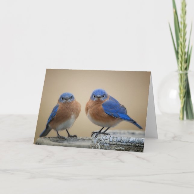 Cartão Homenzinhos rabugentos (Frente)