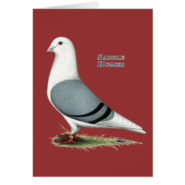 Cartão Homer Blue Saddle (Frente)