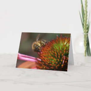 Cartão Honey Bee on Coneflower Greeting Card