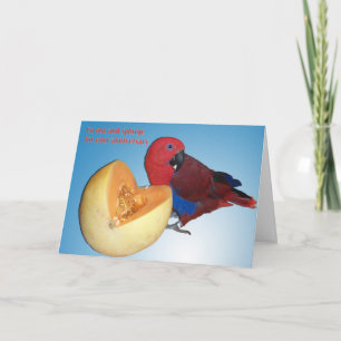 Cartão Honey Do List