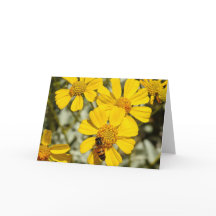 Honeybee Notecard