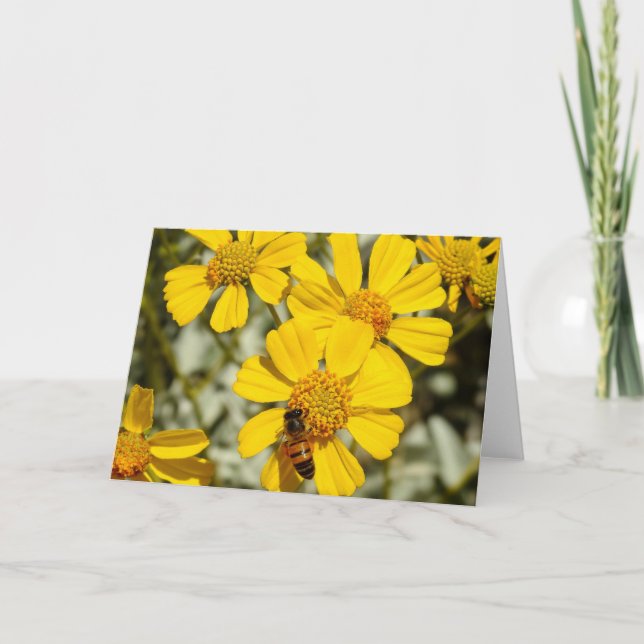 Cartão Honeybee Notecard (Frente)