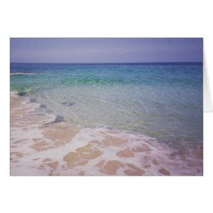 Cartão Honu na praia do a'Loa do La