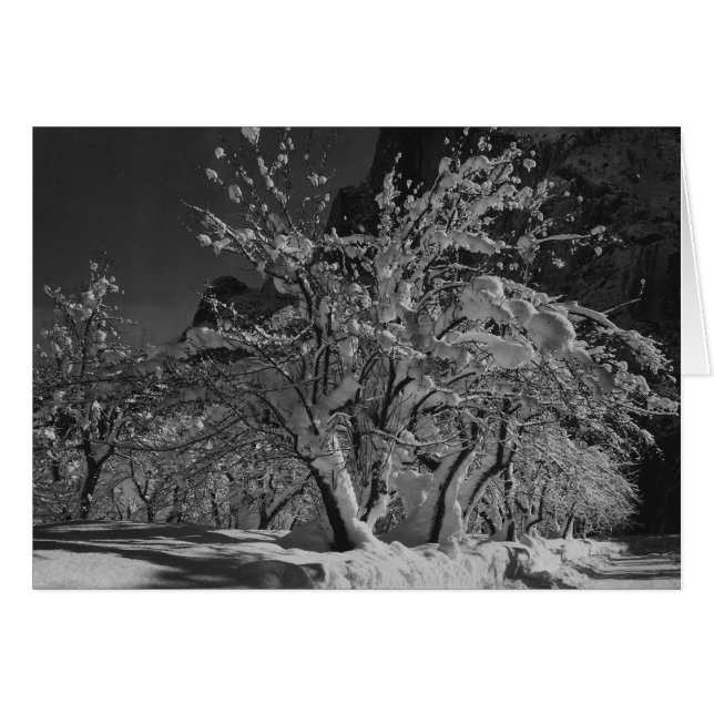 Cartão Hora da Noite de inverno (Frente Horizontal)