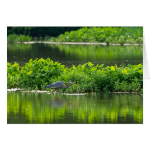 Cartão Hora das Refeições de Lagostas