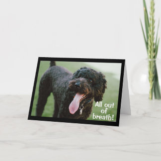 CARTÃO **HORA DE CELEBRAR O SEU 16º ANIVERSÁRIO**