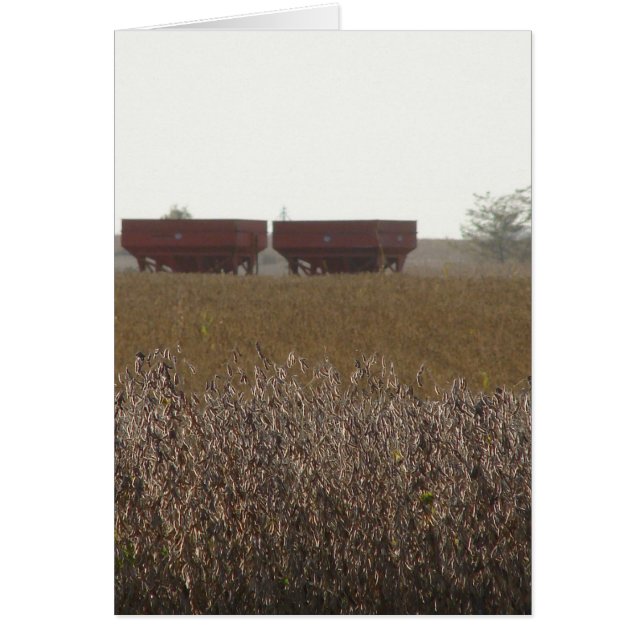 Cartão Hora de Colheita de Soja (Frente)