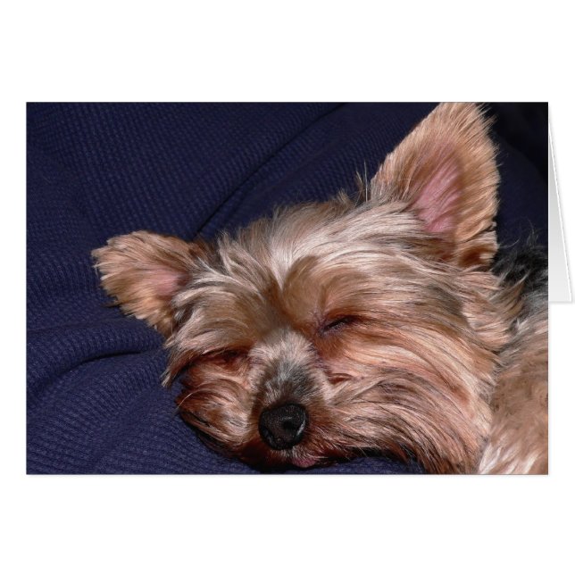 Cartão Hora do Nap (Frente Horizontal)