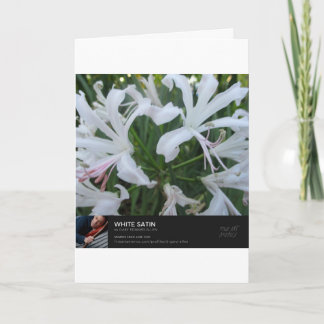 Cartão Hora do precioso