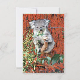 Cartão Horário de Snack Koala