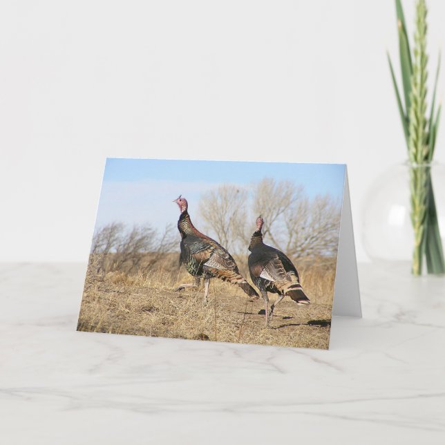 Cartão Horizonte de Turquia (Frente)