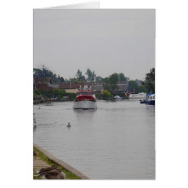 Cartão Horning no rio Bure