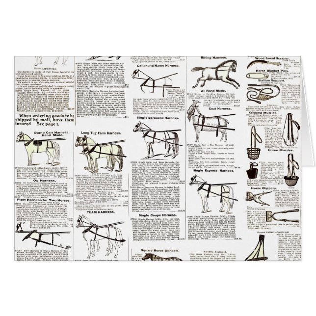 Cartão Horse Antique Advertising Newpaper Art (Frente Horizontal)