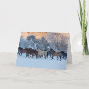 Cartão Horse Drive in Winter on Hideout Ranch