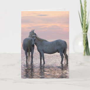 Cartão Horse Greeting Card - Two White Horses Friends