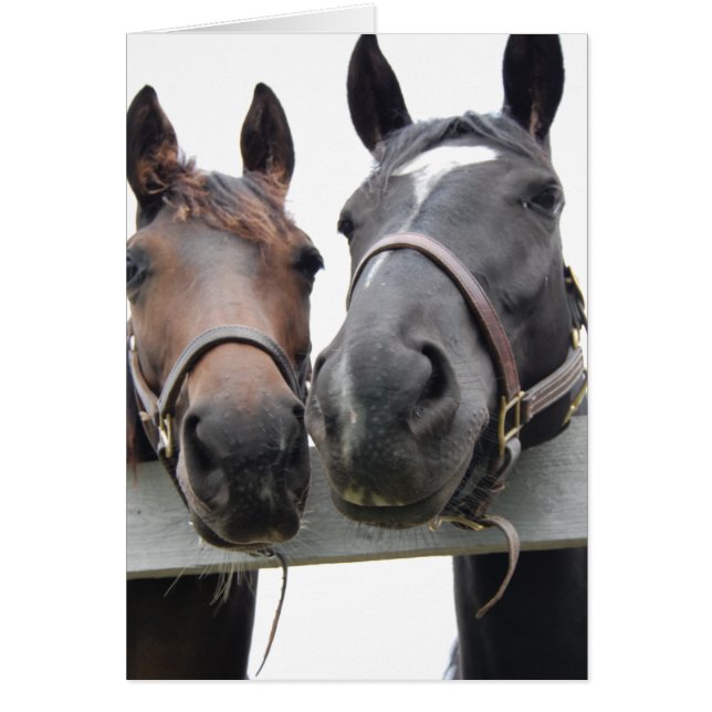 Cartão Horse Love (Frente)