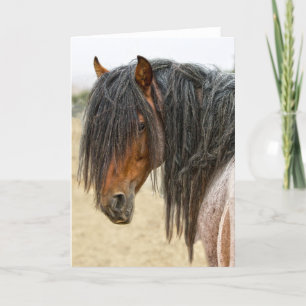 Cartão Horse Mane