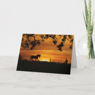 Cartão Horse Sympathy Loving Memories Card