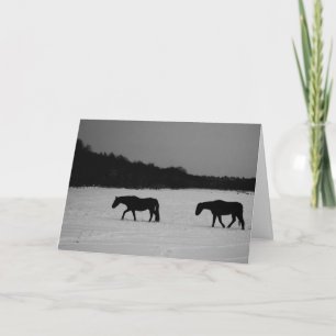 Cartão Horses On Snow gcblankcn