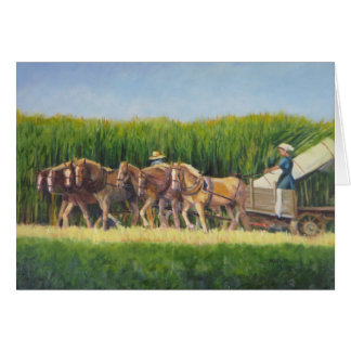 Cartão Horsing ao redor