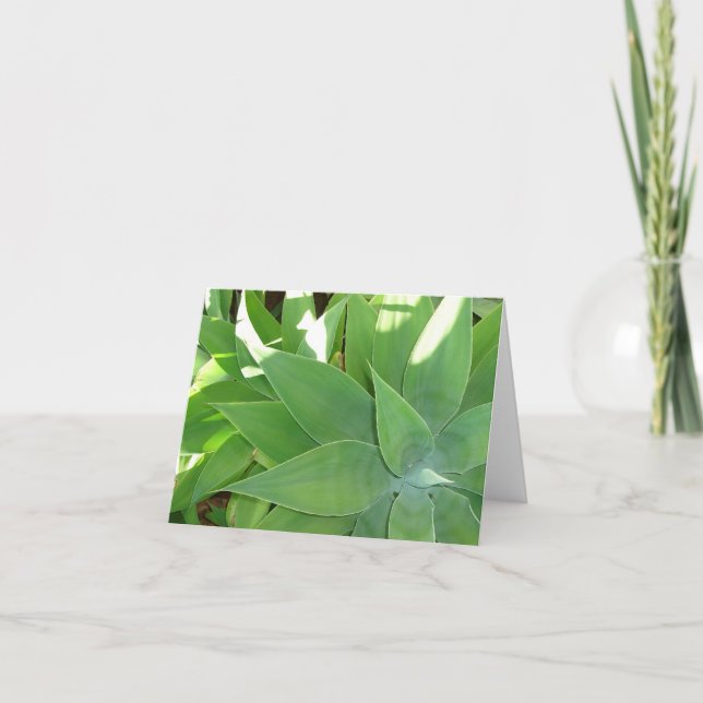 Cartão Hortaliças v2 (Frente)