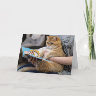 Cartão Hosico está lendo um livro