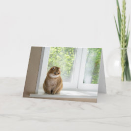 Cartão Hosico pela janela