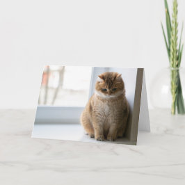 Cartão Hosico pensava