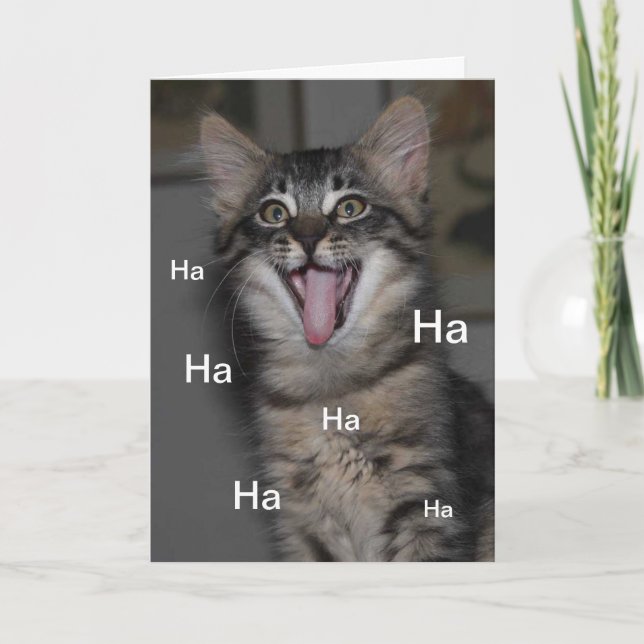 Cartão Hospital Gatinho Cáspio, Receba Bem Em Breve (Frente)